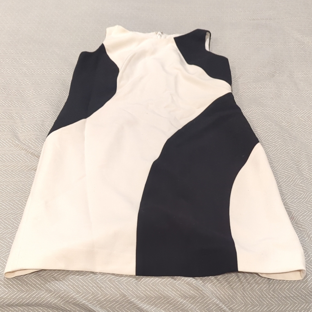Ann Taylor Elegant Black and White Dress